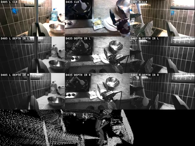 Eggs: eggs on a kitchen counter, nine camera streams above the LiDAR point cloud