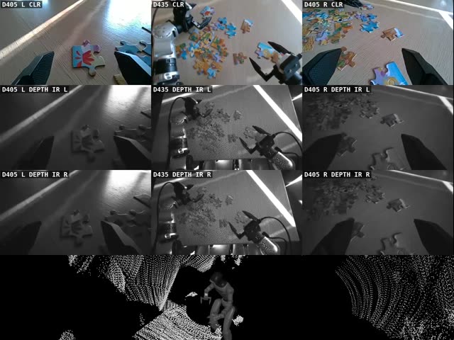 Puzzle: a puzzle, nine camera streams above the LiDAR point cloud
